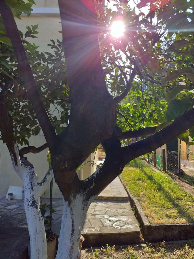 Corfu  Villa Rosa Garden House מראה חיצוני תמונה