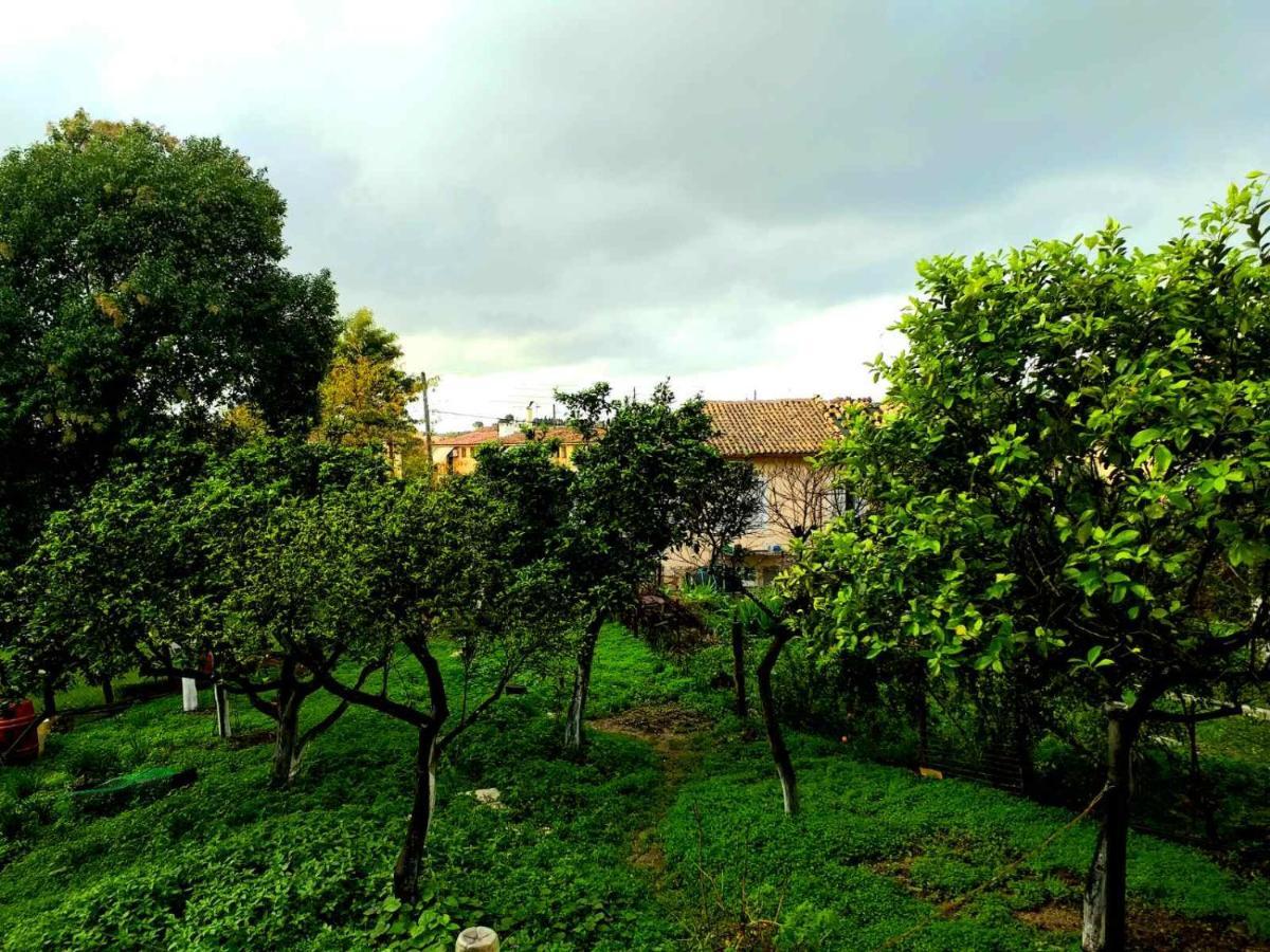 Corfu  Villa Rosa Garden House מראה חיצוני תמונה